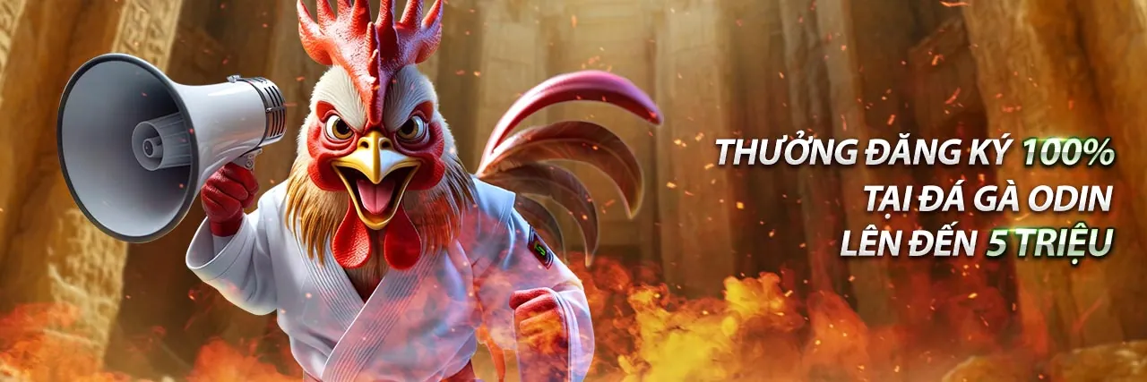Đá gà trực tuyến 8ok game với không khí sôi động